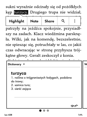 sjp-wiedzmin1